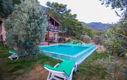 Olive Villa Akyaka 