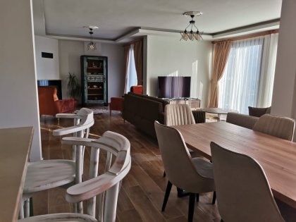 Villa Salkım Söğüt 