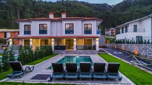 Villa Palmea 1 Çamlı Köyü